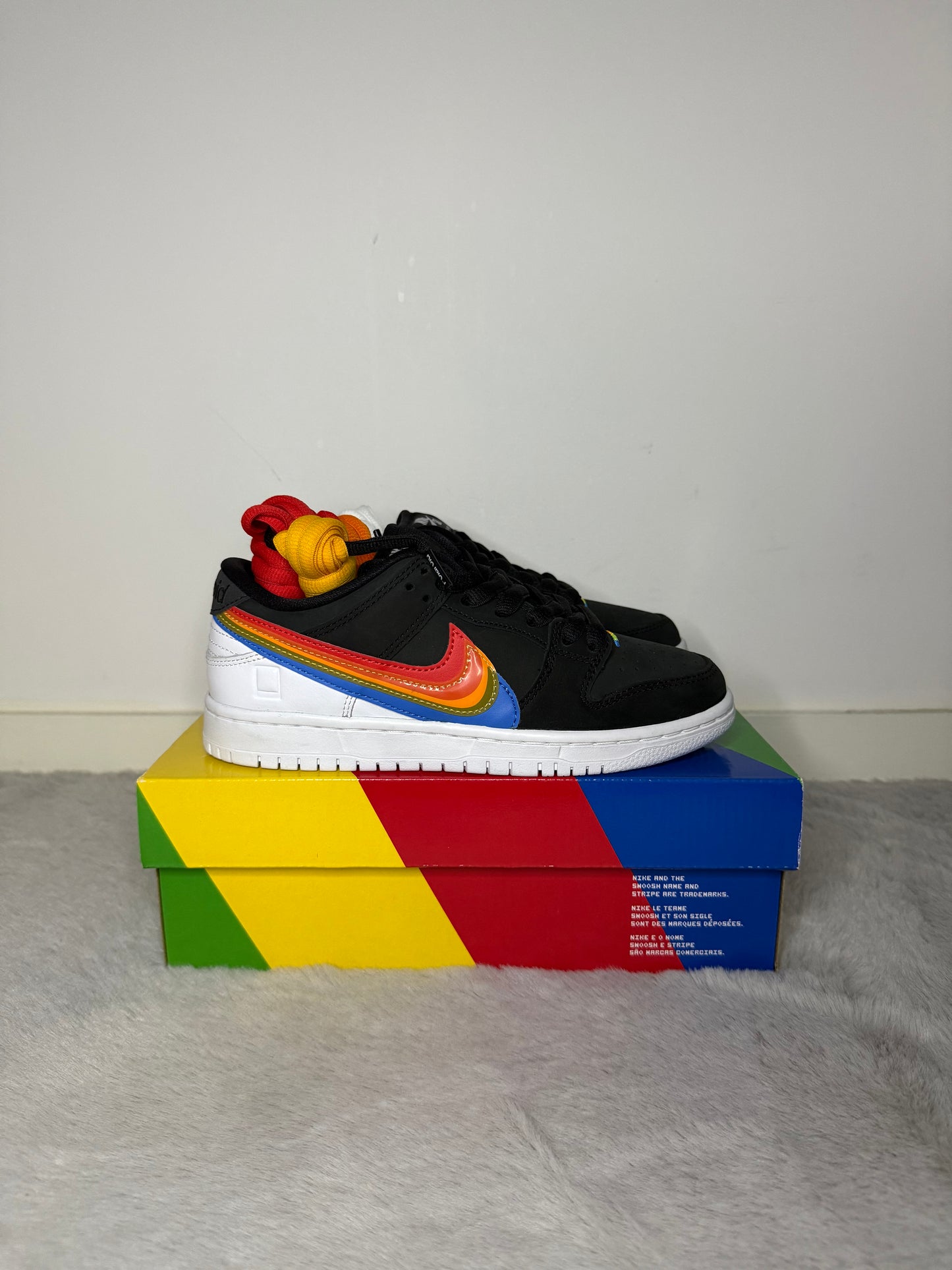 Dunk low SB polaroid