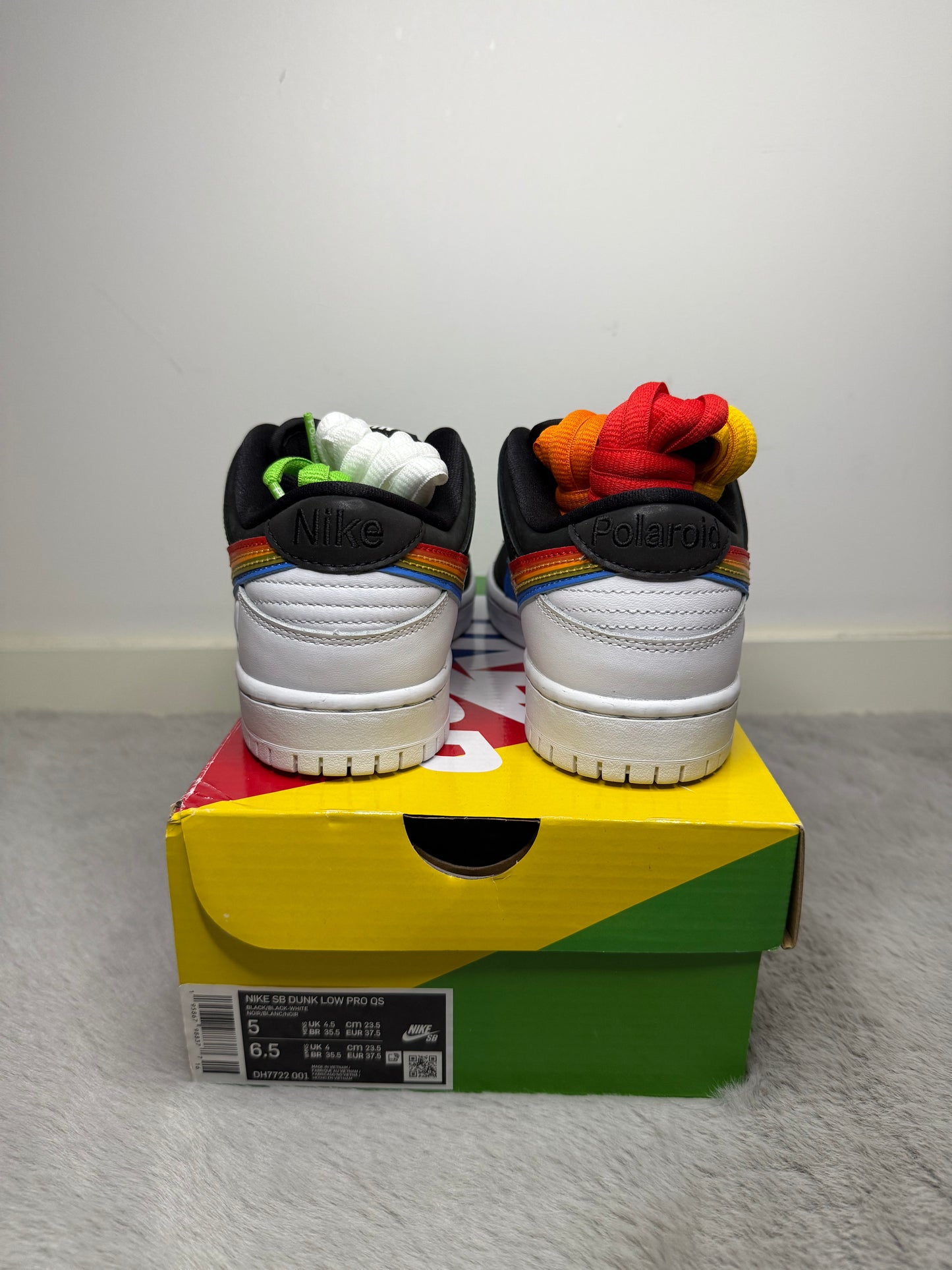 Dunk low SB polaroid