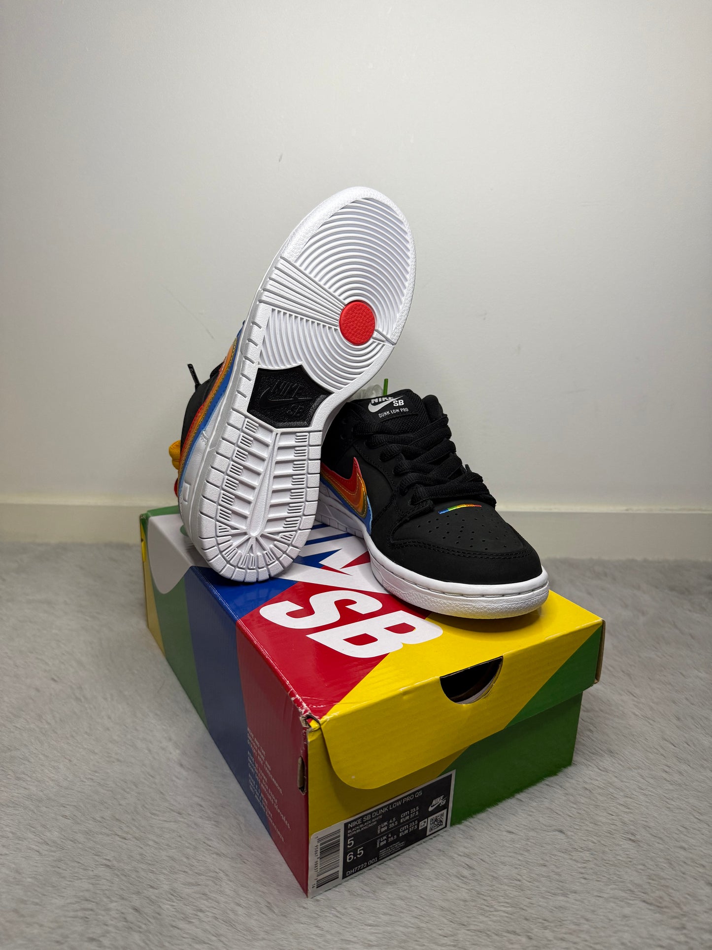 Dunk low SB polaroid